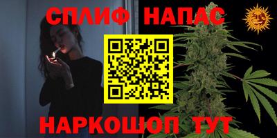 ешки Рузаевка