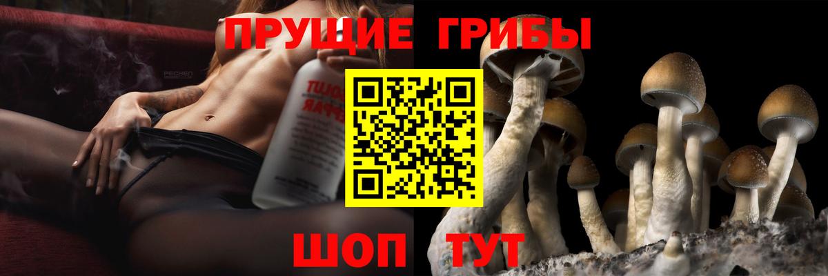 Сафоново  Галлюциногенные грибы ЛСД  Вход с VPN 